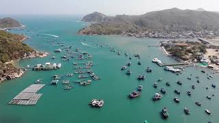 Deep House. 247 Live Radio. Summer Music. Pop Life By Progressence