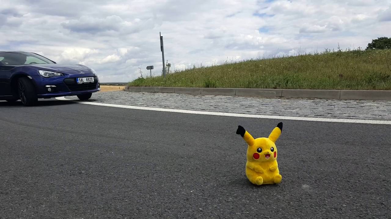 Pokemon Hunting 