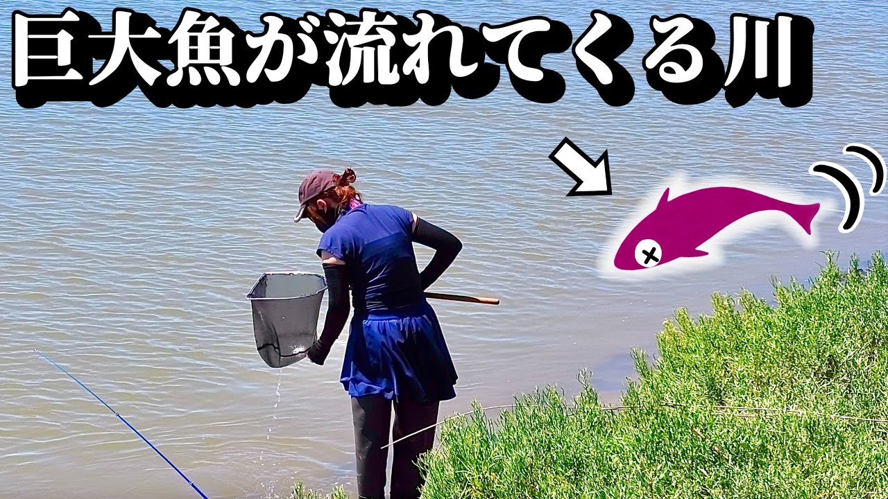 濁った川に潜む顔が怖すぎる魚を捕獲する！