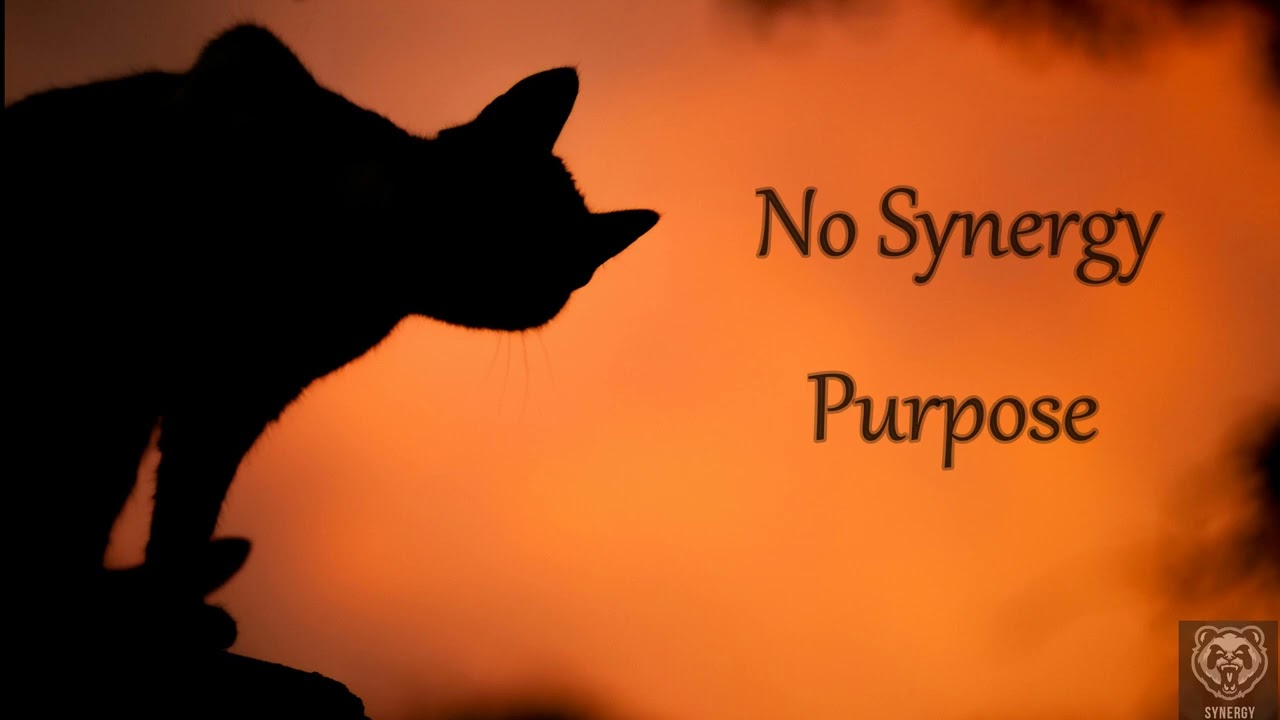 No Synergy beats - Purpose
