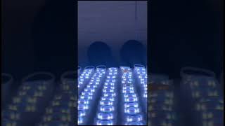Xylobands / LED wristbands available on rent and sell. 20000 qty available. Pan india service