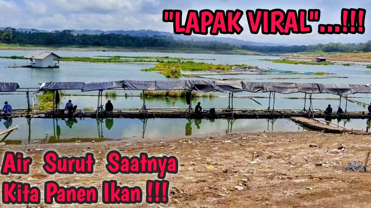 Mancing Sumber Pucung Malang Terbaru 2025...Air Surut Saatnya Kita Panen Ikan !!!