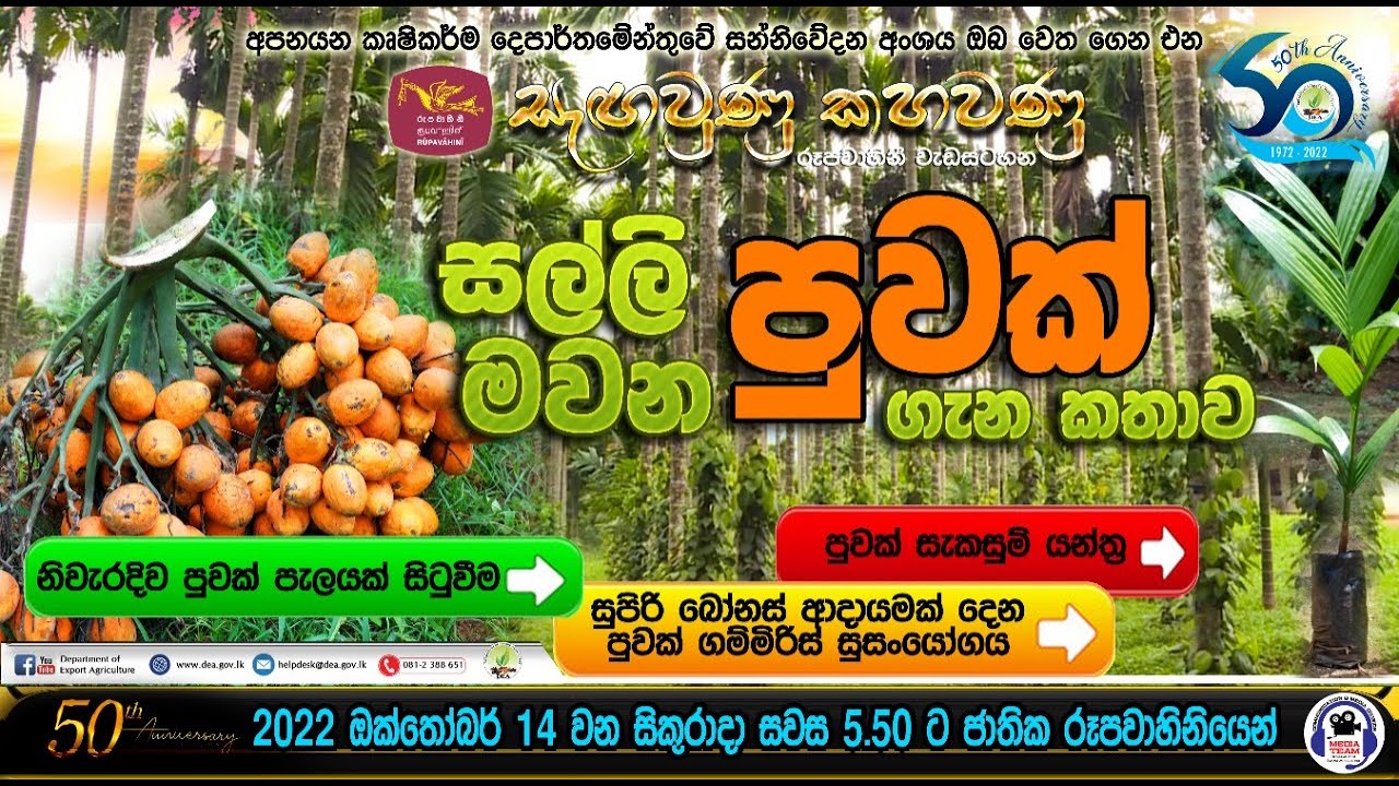 සල්ලි මවන පුවක් ගැන කතාව