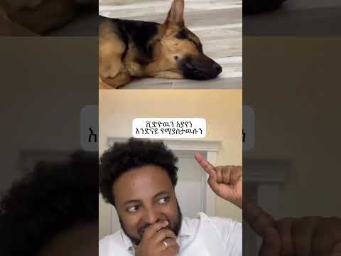 አዲስ ኮሜዲ Jara Tesfaye Newyear Ethiopian 2025 Habesha Funny Duet