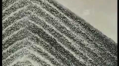 Fundamental Experiments in Stratification