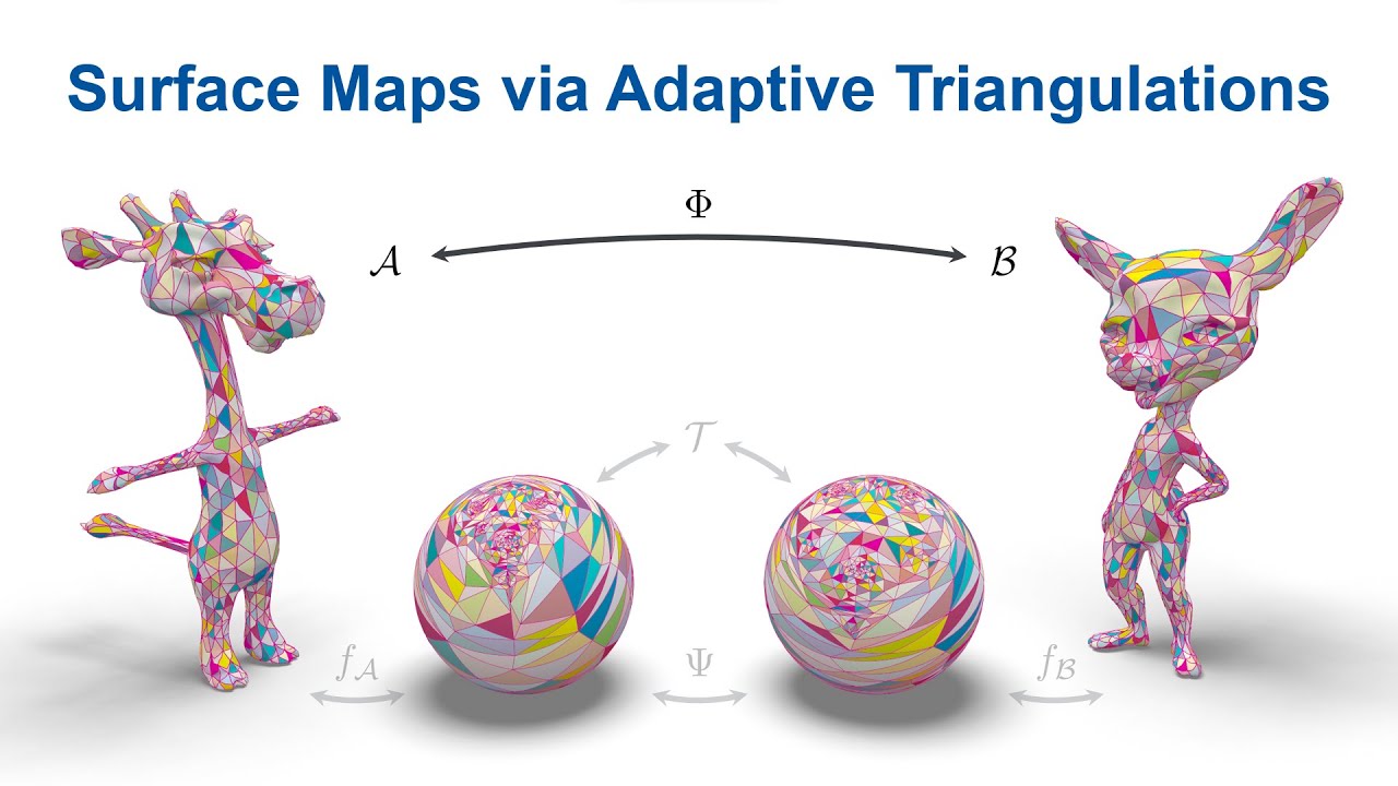 [Eurographics 2023] Surface Maps via Adaptive Triangulations