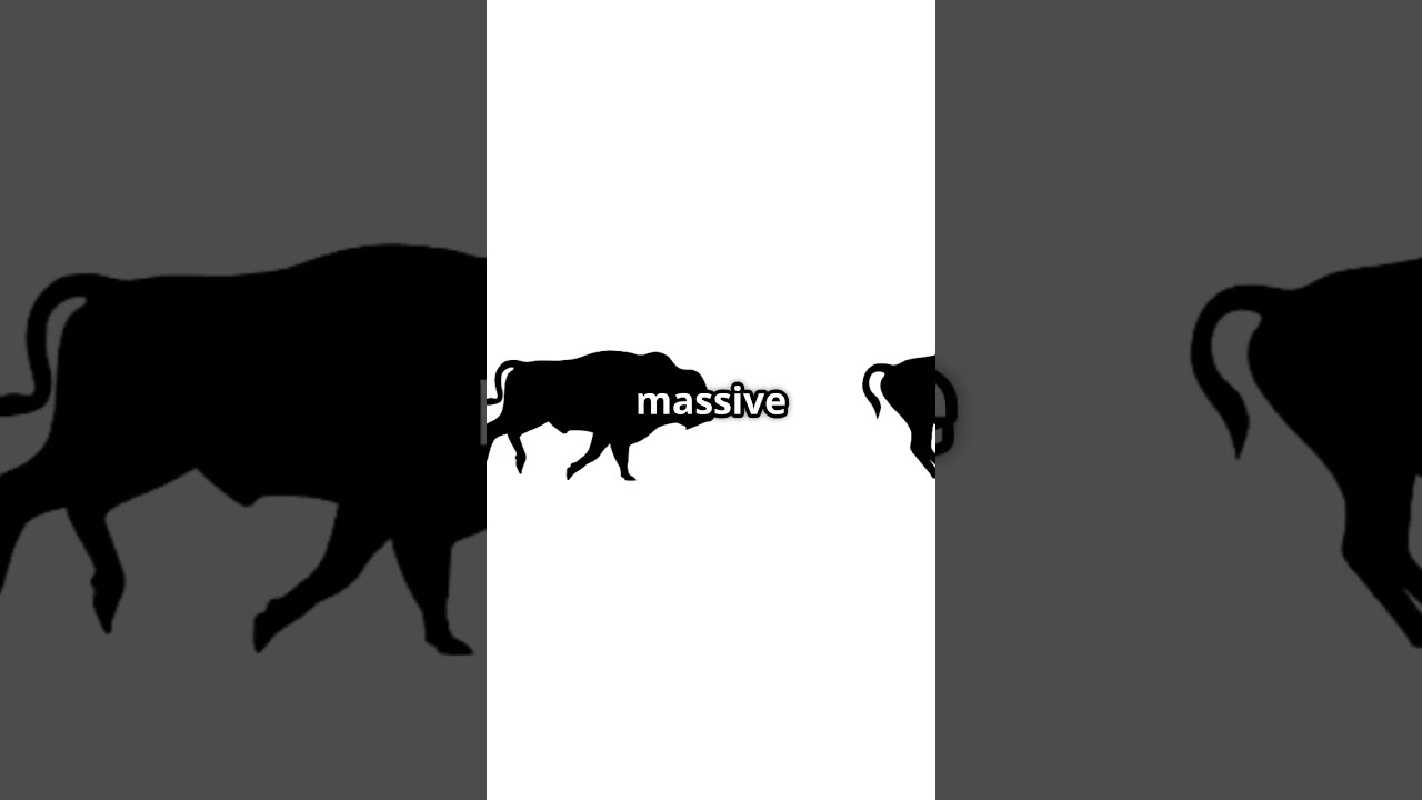 The Surprising Speed Of American Bison 