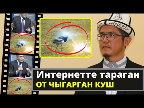 Video: Шотландияда китепкана стриптиз үчүн чакырылган