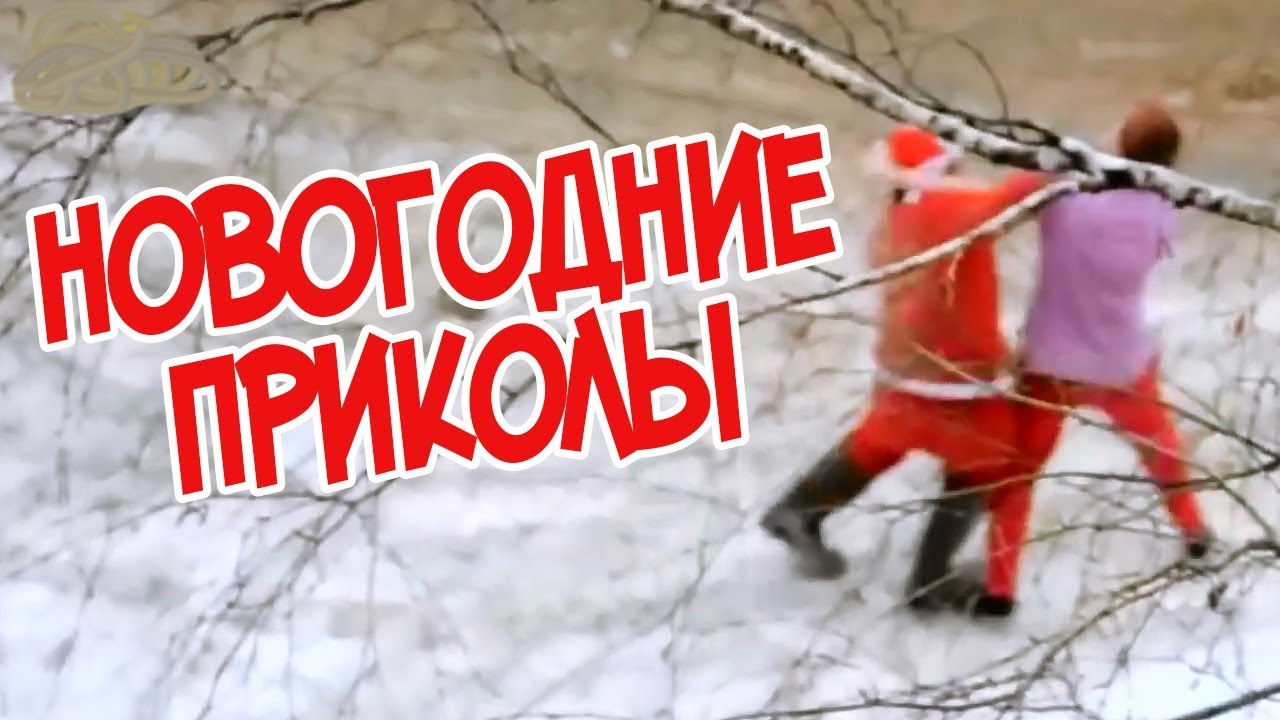 Смотреть Новогодние Приколы Смотреть Новогодние Приколы