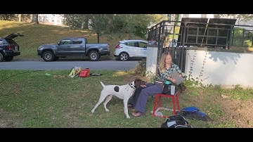 Fetch using Negative Reinforcement