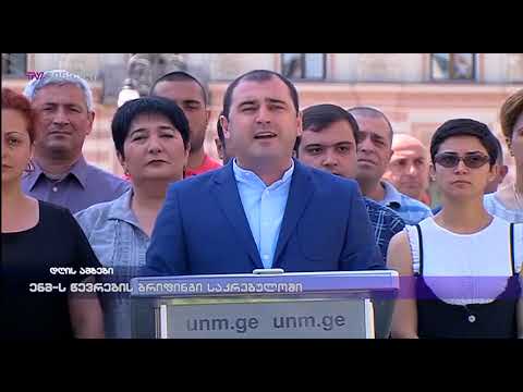 ენმ-ს წევრების ბრიფინგი საკრებულოში