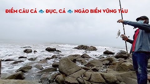 điểm câu cá đục cá ngao biển vũng tàu