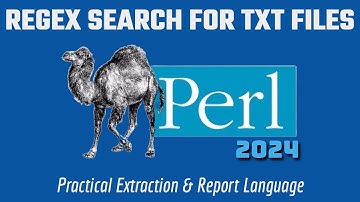 Perl Programming Regex Text File Search Project 2024