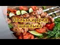 Шашлык. Польза и вред шашлыка! Вкуснейший рецепт шашлыка.