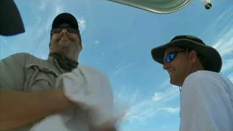 PBS Feature, the Shark Brothers, Sean Paxton & Bro...