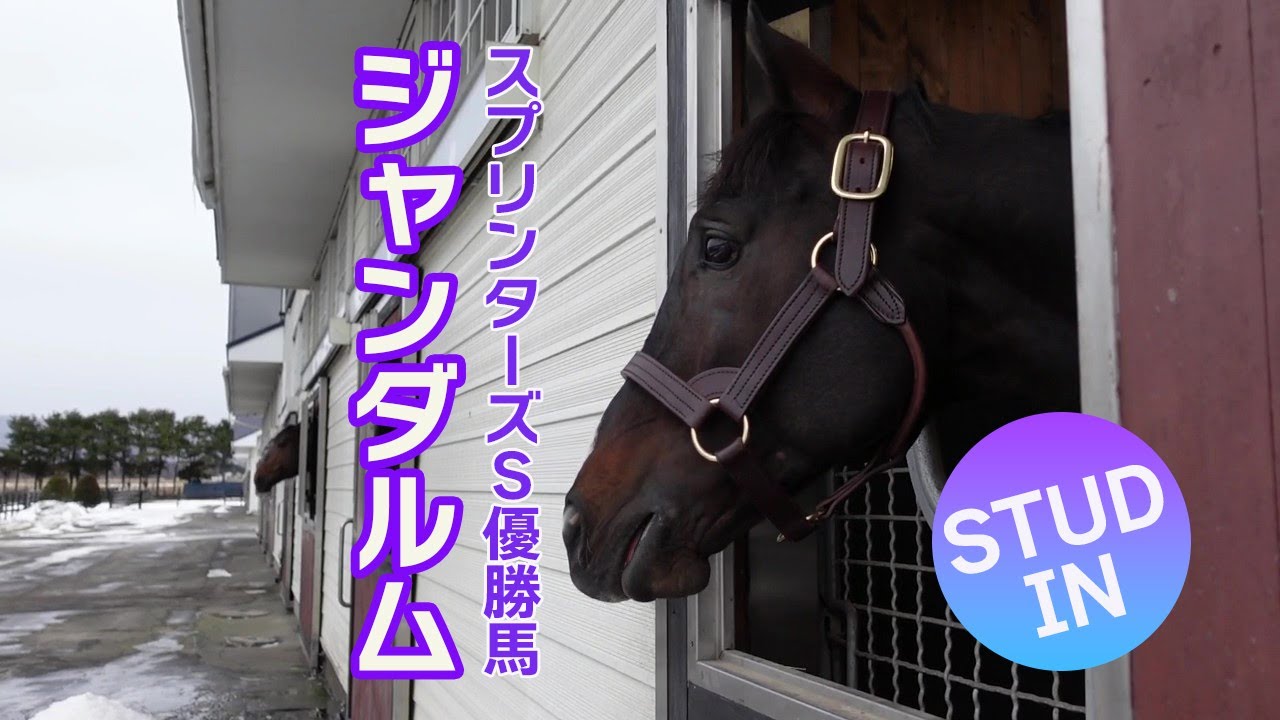 スプリンターズS優勝馬 ジャンダルム Gendarme～STUD IN - YouTube