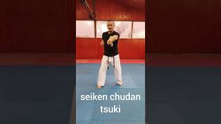 Seiken Chudan Tsuki  Karate Kyokushin