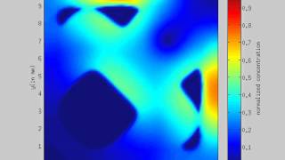 Spatial dynamics of activated macrophage - simulation 2