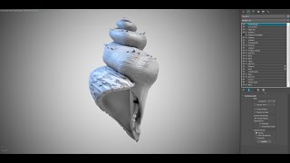 3dsmax Procedural - seaShell