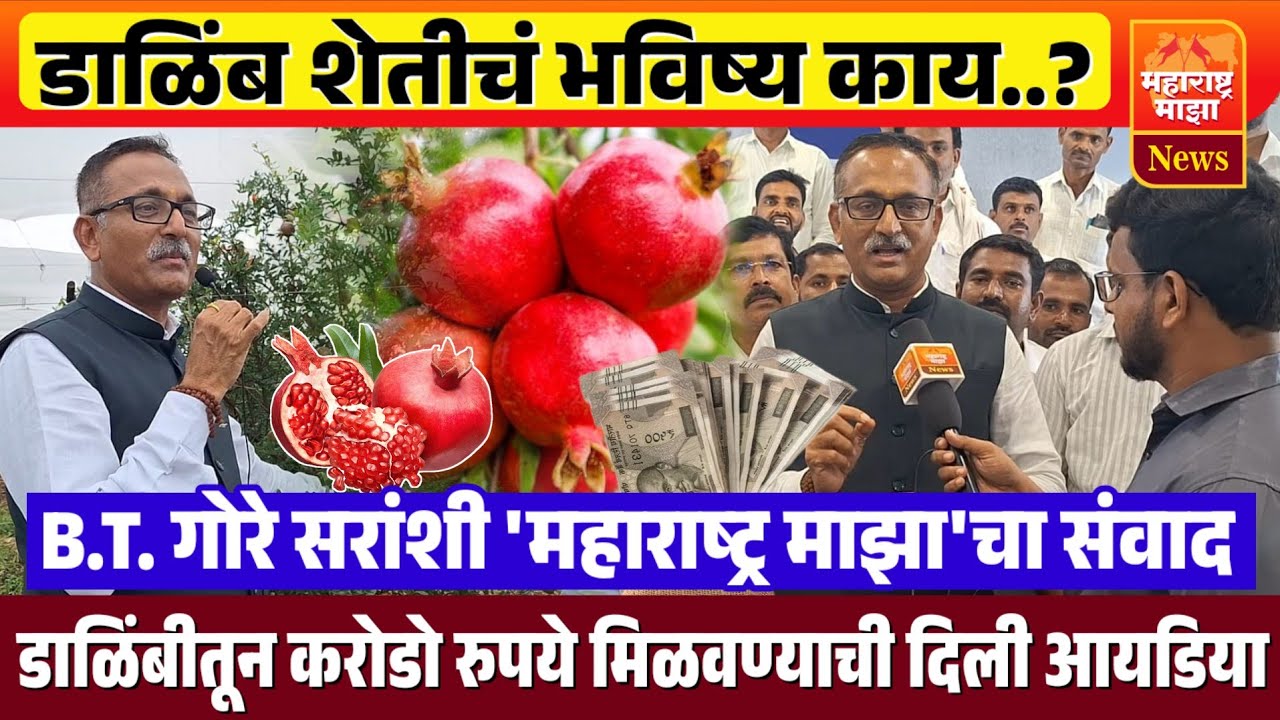 ♦️डाळिंब लावा अन करोडपती व्हा | डाळिंबरत्न BT गोरे सरांशी 'महाराष्ट्र माझा'चा सवांद..