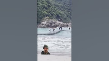 Floating walkway made for skateboards 🛹 #100