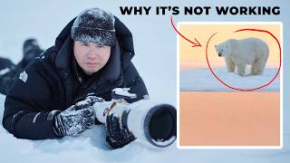 The Real Reason Your Wildlife Photos Aren't Improving
