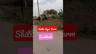 Shitla Agri Farm Dabra-Bhitarbar Road Berkheda Khairu Baghel