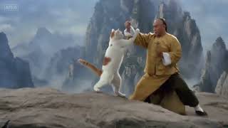 Kung Fu Catπ₯ Kung Fu Catπ₯