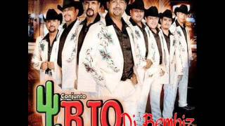 Video thumbnail of "Conjunto Rio Grande - El Traga Moscas 2015"