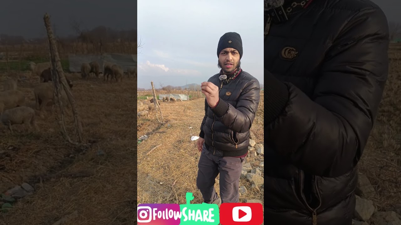 Low budget Deal In Srinagar Noor Bagh Guzarbal Aisha Colony 7 Marla Plot SHAKIR /-𝟕𝟎𝟓𝟏𝟔𝟐𝟖𝟏𝟏𝟖