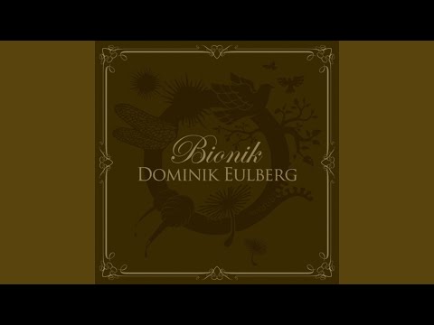 Dominik Eulberg — Haifischflügel