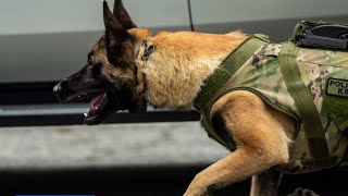 K-9 Rocky Returns To Duty After Being Shot