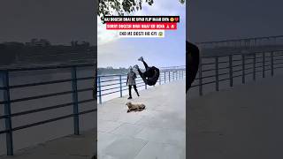 save animals cute dog 🥺🥰#shorts #dog #animals #youtubeshorts