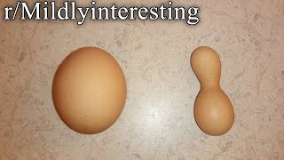 r/Mildlyinteresting | BOWLING PIN EGG