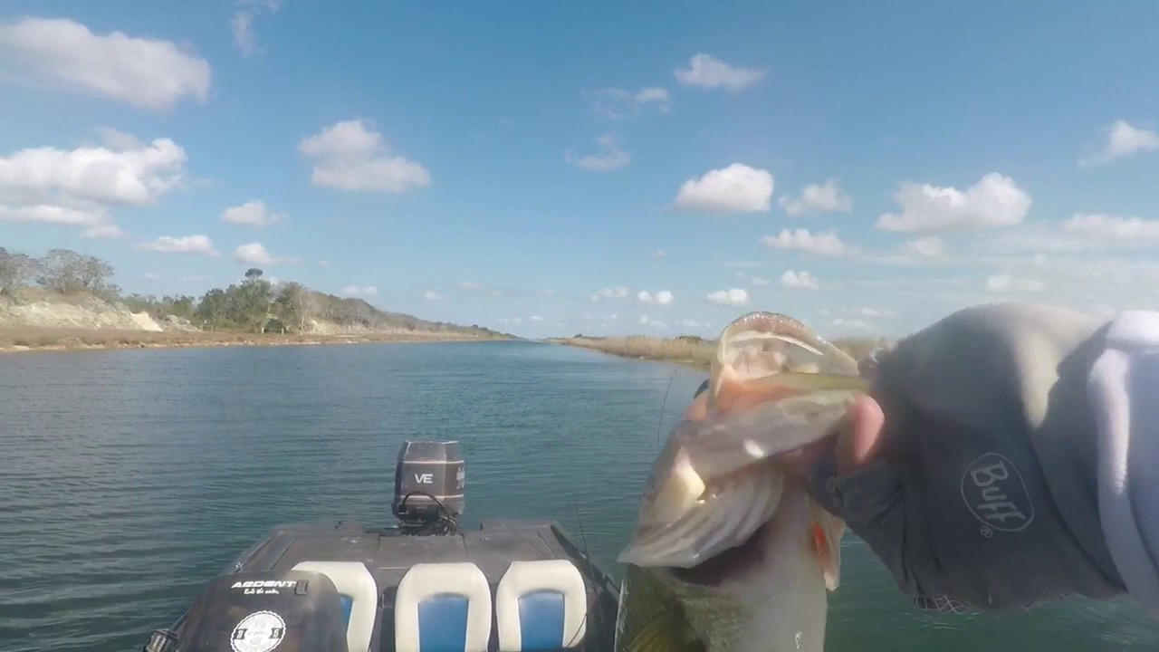 Largemouth Bass Fishing Florida Everglades YouTube