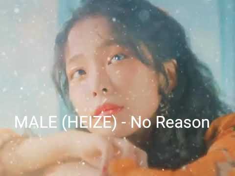 MALE (HEIZE) - NO REASON