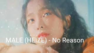 MALE (HEIZE) - NO REASON