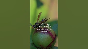 {...رَّبَّنَا عَلَيْكَ تَوَكَّلْنَا وَإِلَيْكَ أَنَبْنَا وَإِلَيْكَ الْمَصِيرُ(4)} القارئ رعد الكردي