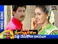 Swayamvaram Telugu Movie Songs | Pellichesukora Nayana Song | Venu | Laya | Mango Music