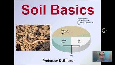 Soil Basics