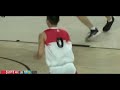 Scouting report wei lun zhao pall varese