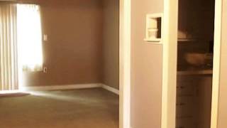 211 Goingsnake St video tour