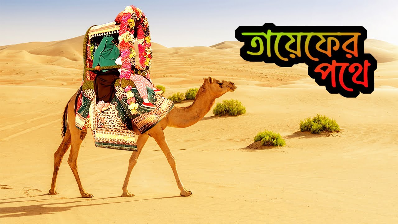 তায়েফের পথে ‖ Taif Saudi Arabia