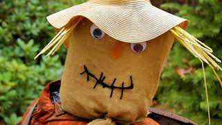 scarecrow in groton