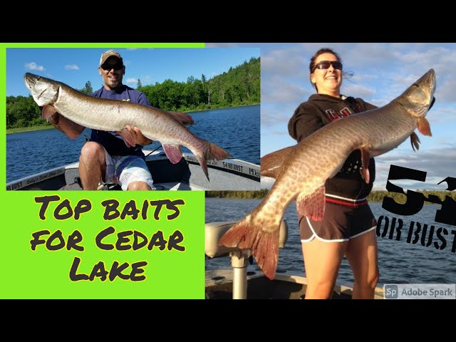 Must have musky lures for Cedar Lake, Ontario (musky lures 101)