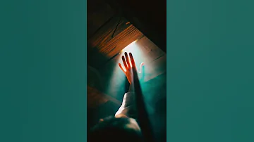 Свет и цвет. Фотограф Полина Вашингтон
