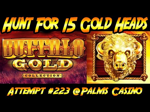 Hunt For 15 Gold Heads! Ep. #223, Buffalo Gold Collection at the Palms in Las Vegas!