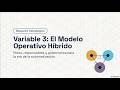 AUTOMATIZACIÓN Nº 40 - ROLES Y RESPONSABLES DEFINIDOS (25%)