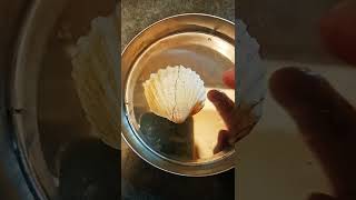 How to fix broken sea shell #fix #shorts #broken #howtofix
