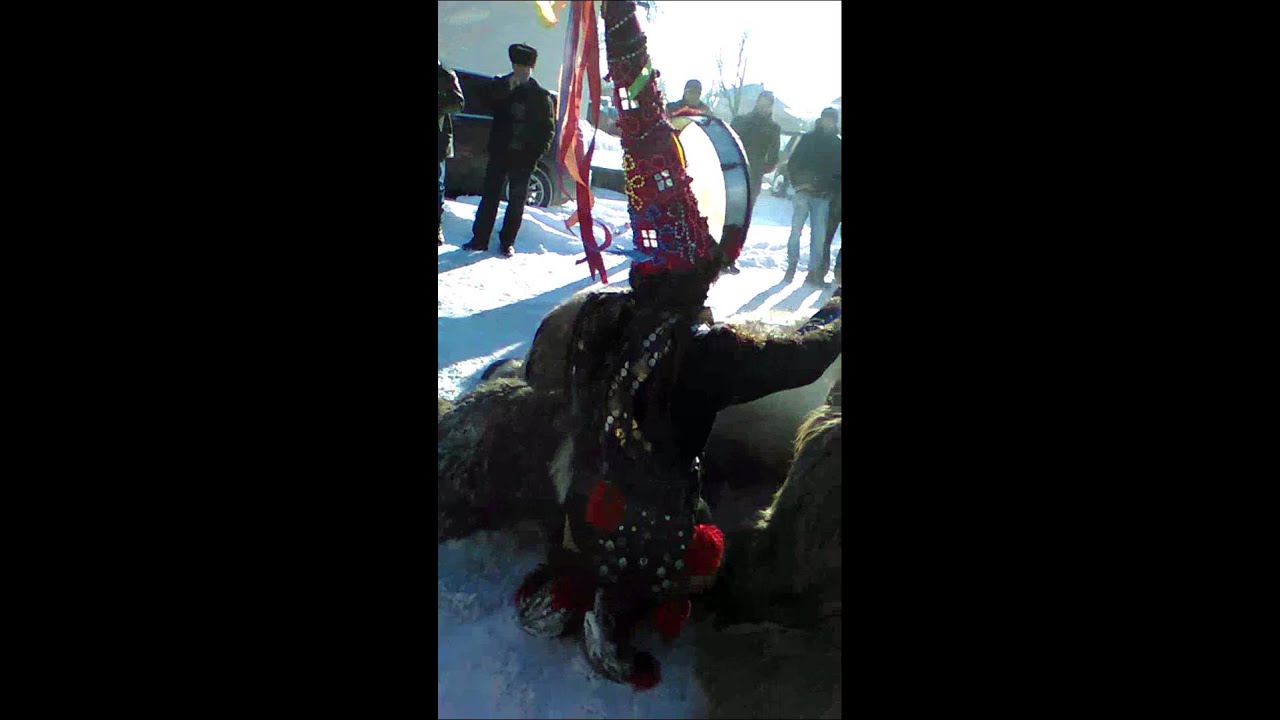 Capra de la Movileni 2014-2015